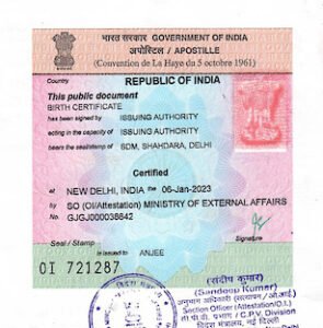 Birth Certificate Apostille Stamp